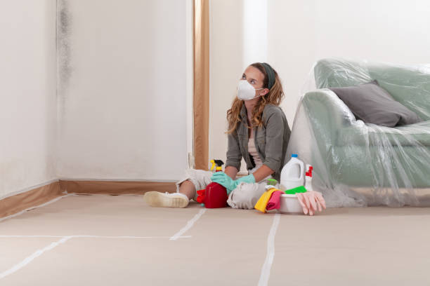 Reliable Mold Remediation contractor in Burnham, IL by Cheap Mold Removal